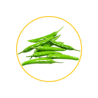 Chili Farming Products