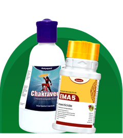 Best Paddy Crop Solutions