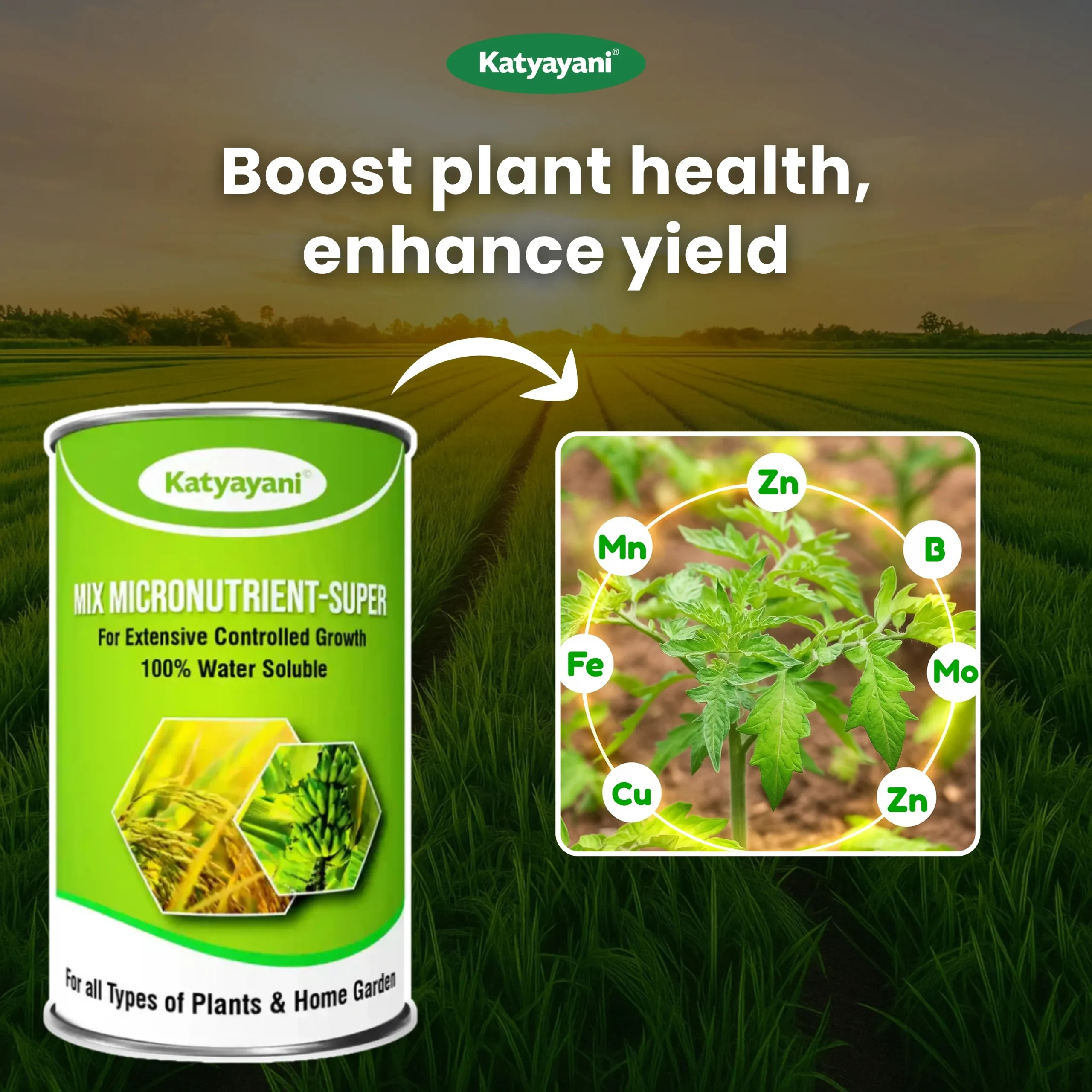 Katyayani Mix Micronutrient Super For Home Garden, Nursery & Agricultural Use - Image 2