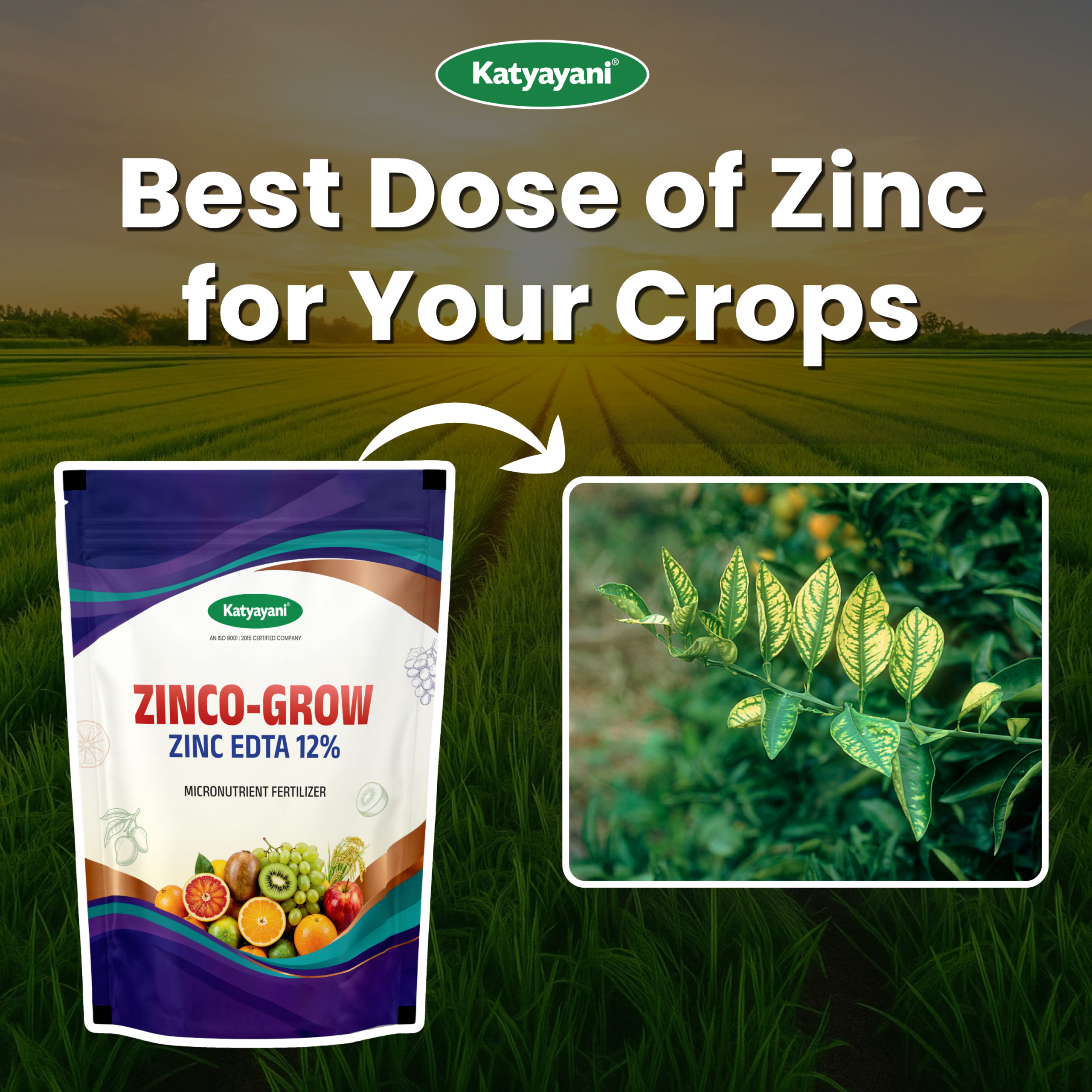 Katyayani Zinco Grow (Zinc EDTA 12%) Fertilizer - Image 2