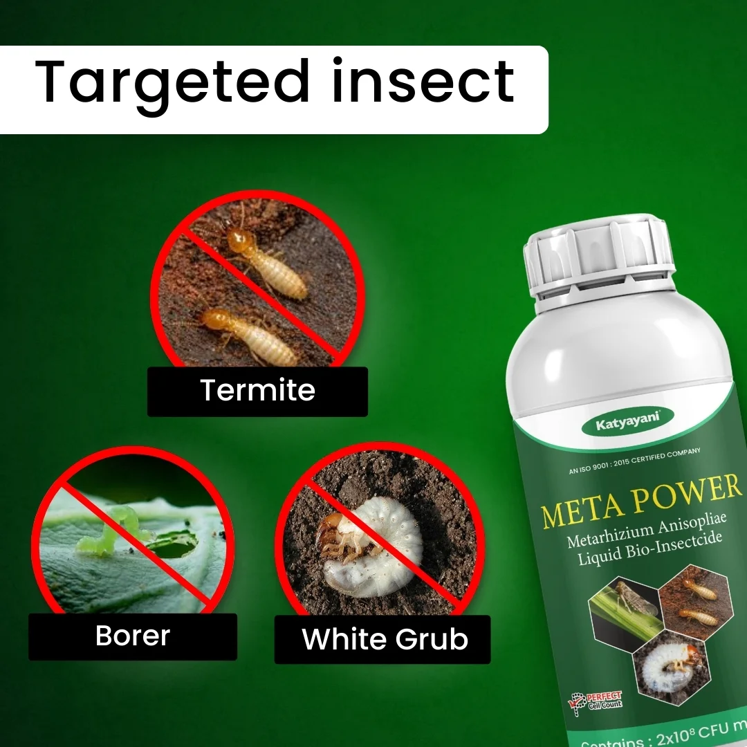 Katyayani Meta Power | Metarhizium anisopliae Bio pesticide - Image 3
