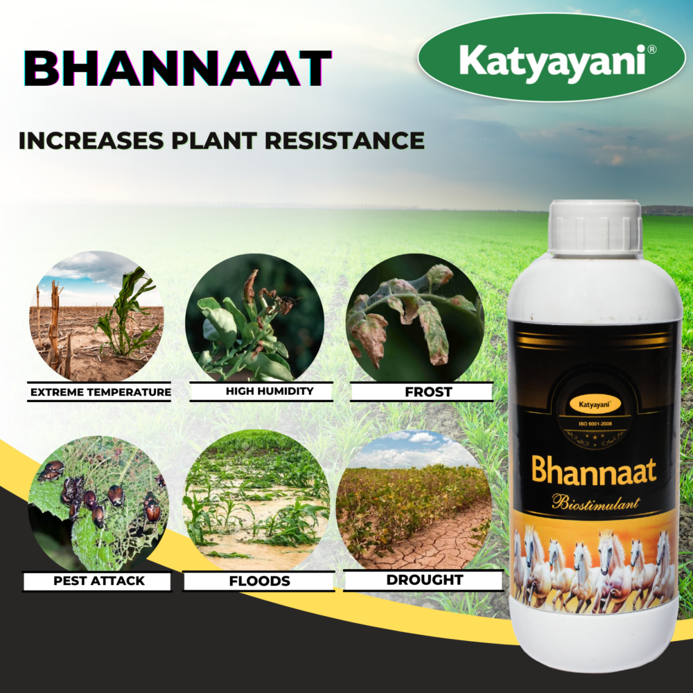 Katyayani Bhannaat Bio Stimulant - Copy - Image 5