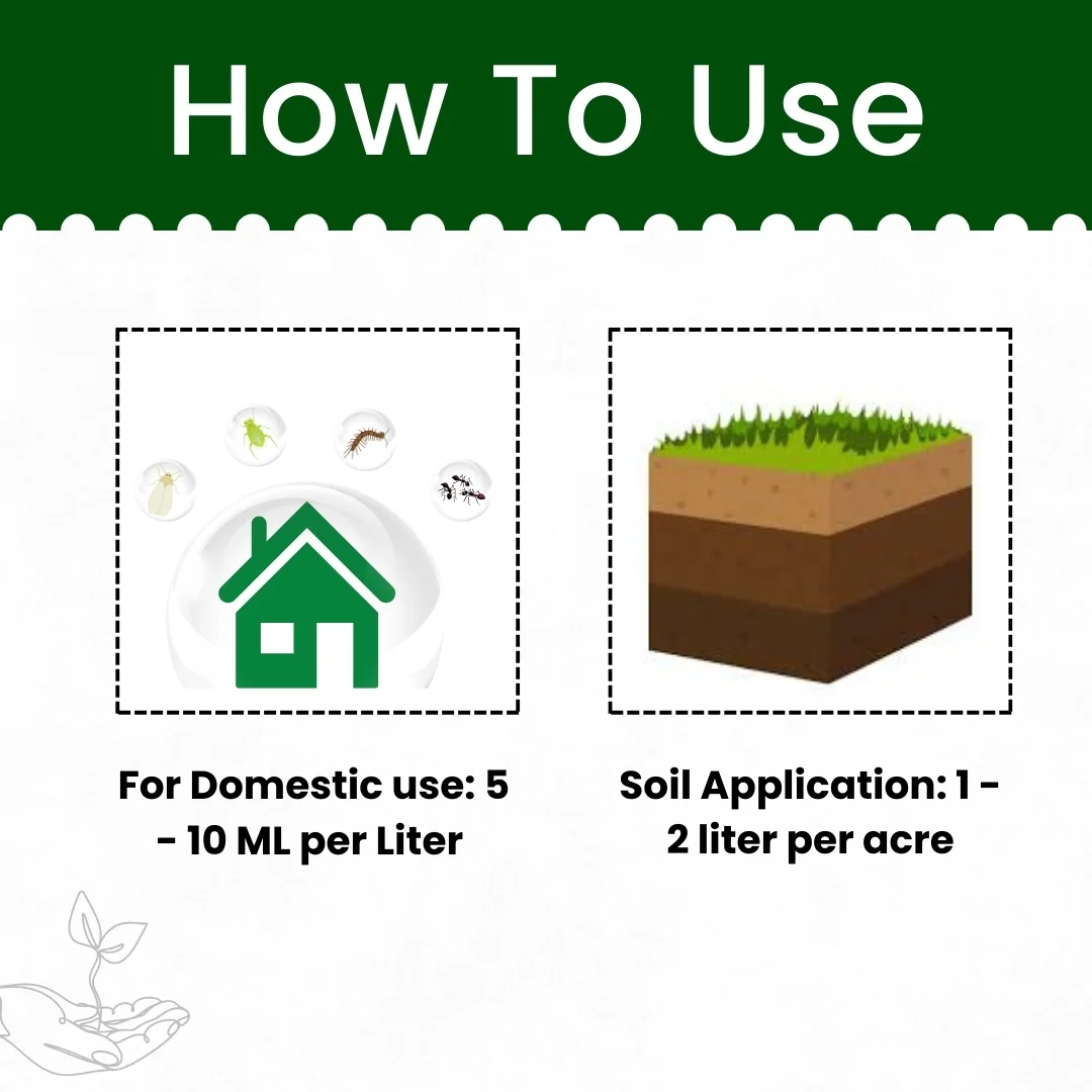 Katyayani Meta Power | Metarhizium anisopliae Bio pesticide - Image 5