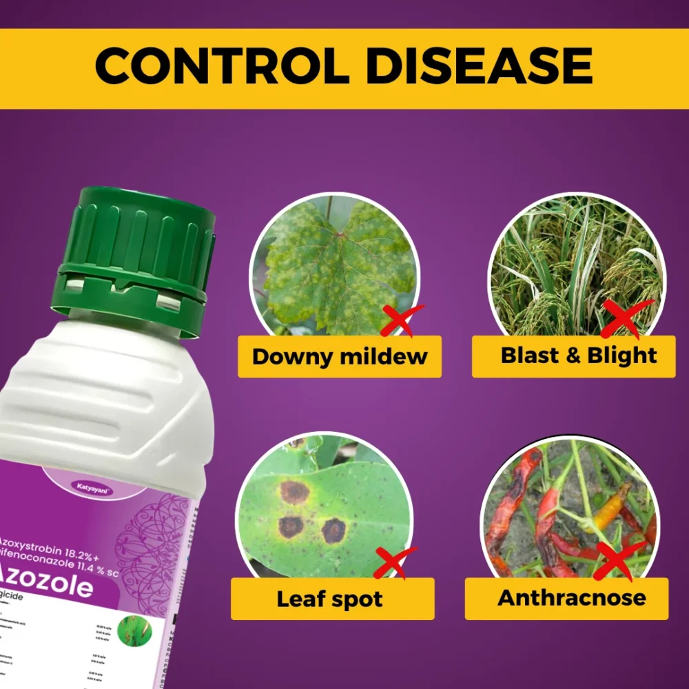 Katyayani Azoxystrobin 18.2 % + difenoconazole 11.4 % SC -  AZOZOLE - Image 3