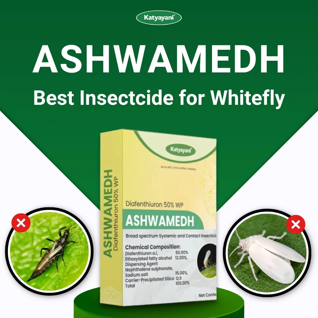 Katyayani Ashwamedh | Diafenthiuron 50% WP | Chemical Insecticide - Image 2