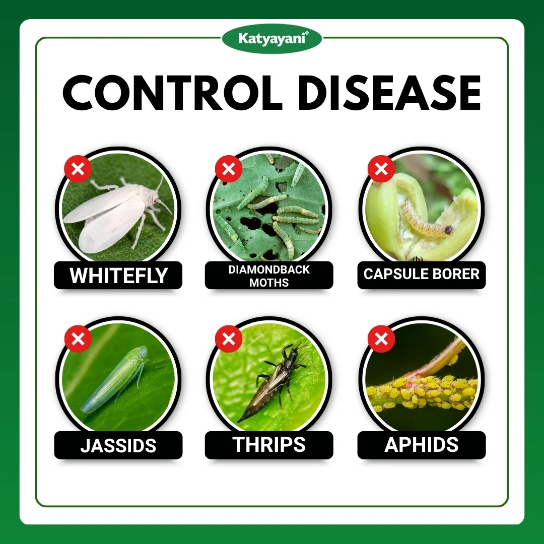 Katyayani Ashwamedh | Diafenthiuron 50% WP | Chemical Insecticide - Image 3