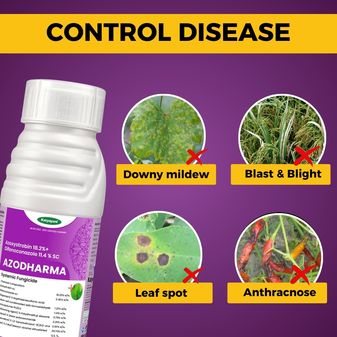 Katyayani Azodharma | Azoxystrobin 18.2 % + difenoconazole 11.4 % SC - Image 4