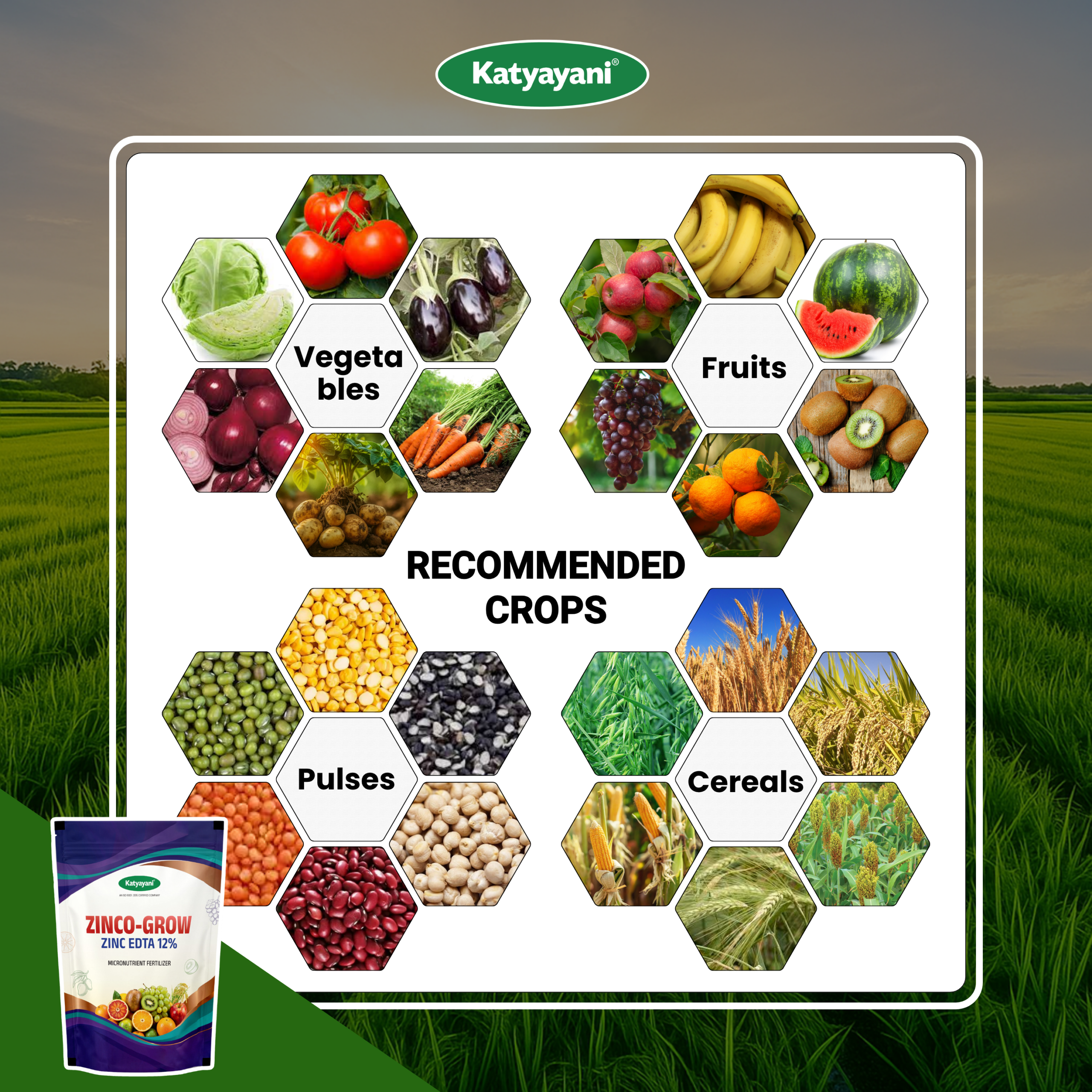 Katyayani Zinco Grow (Zinc EDTA 12%) Fertilizer - Image 4