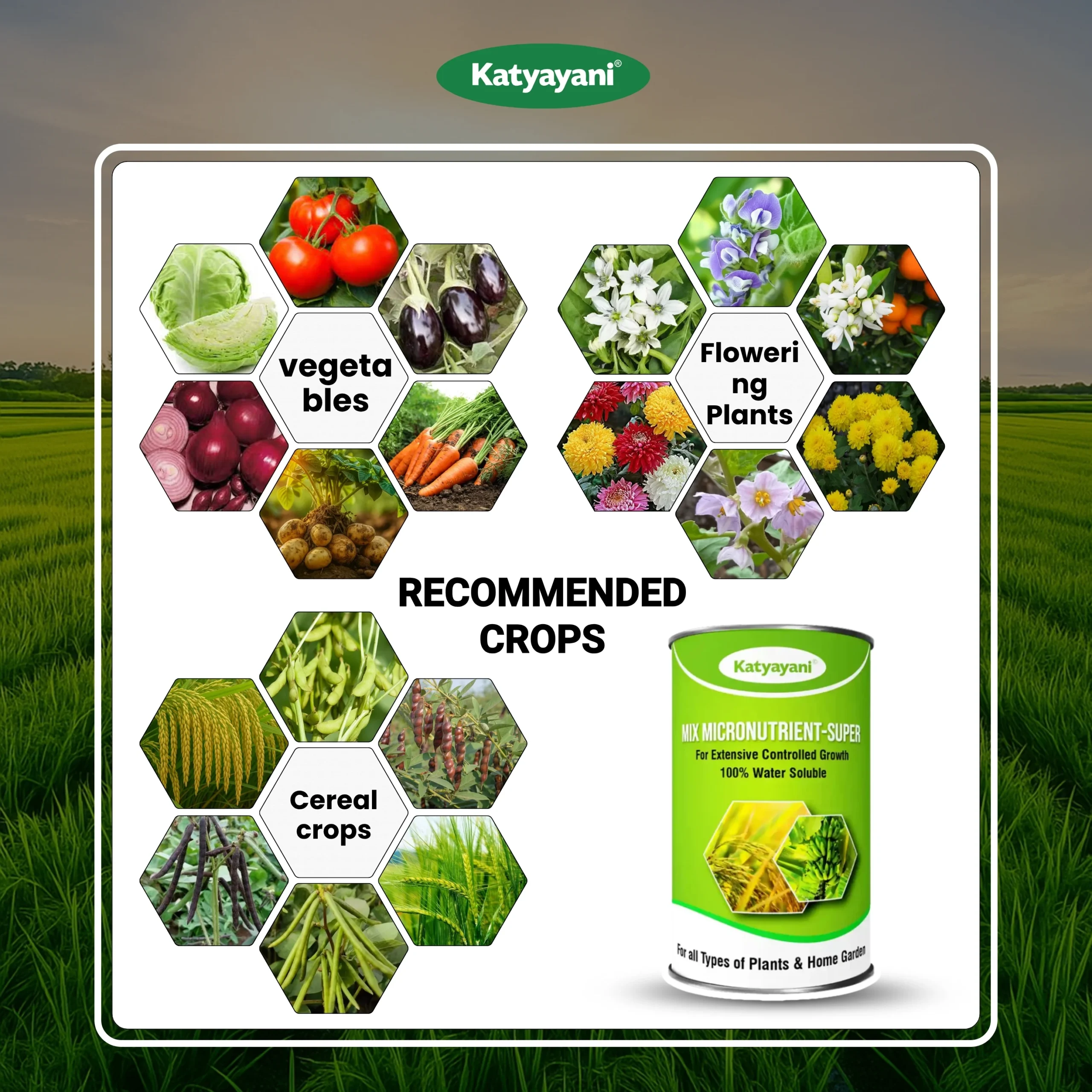 Katyayani Mix Micronutrient Super For Home Garden, Nursery & Agricultural Use - Image 4