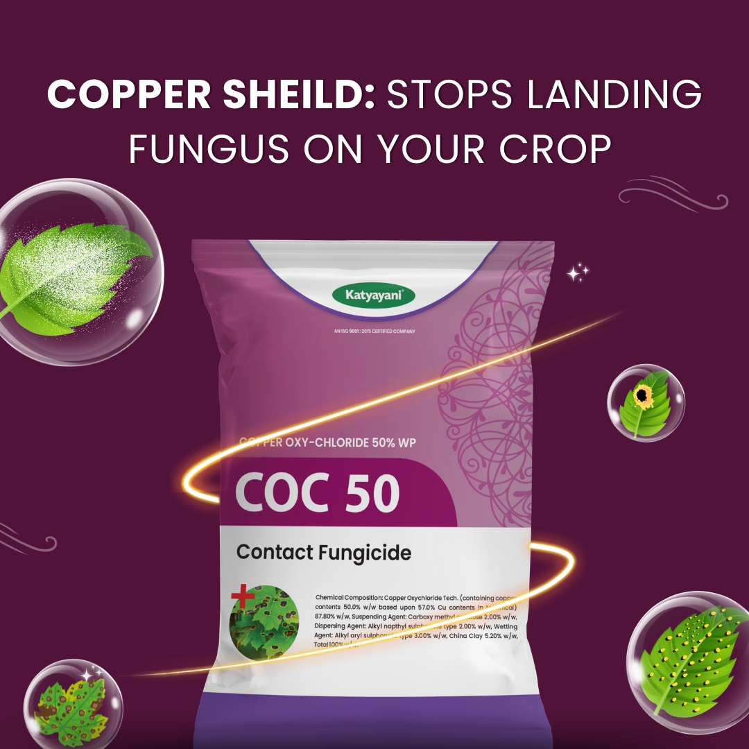 Katyayani COC50 | Copper oxychloride 50 % wp Fungicide - Image 2