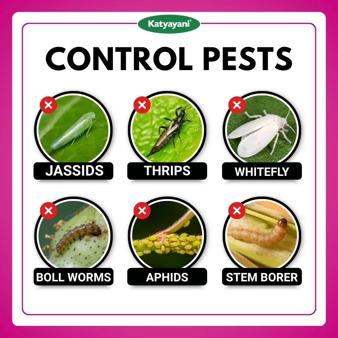 Katyayani Thiamethoxam 12.6 % lambda cyhalothrin 9.5 % zc - Chakrawarti - Image 3