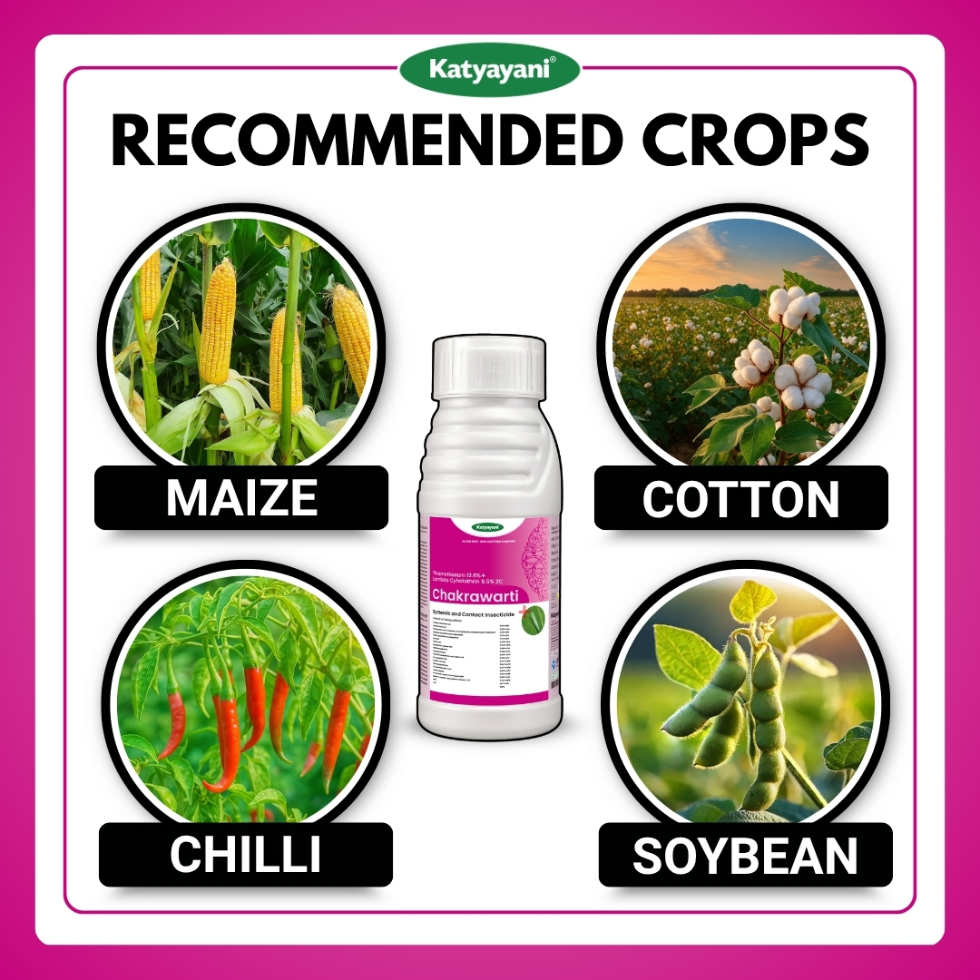 Katyayani Chakrawarti | Thiamethoxam 12.6 % lambda cyhalothrin 9.5 % zc Insecticide - Image 3