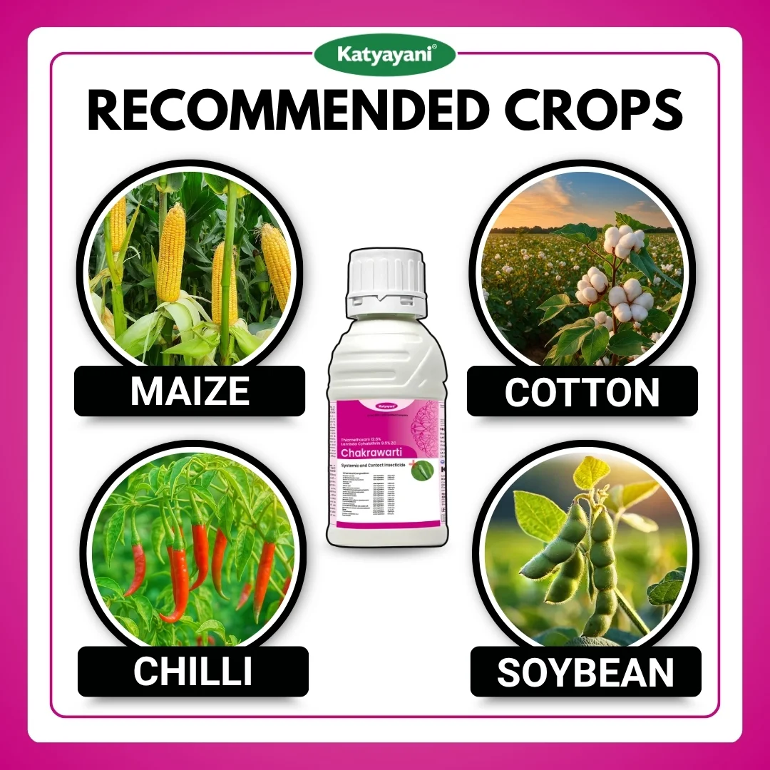 Katyayani Thiamethoxam 12.6 % lambda cyhalothrin 9.5 % zc - Chakrawarti - Image 4