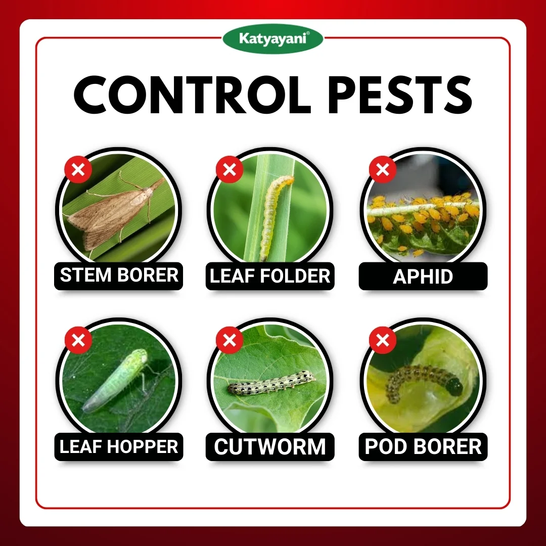 Katyayani Chloropyriphos 20 % CS - Chloro cs - Image 3