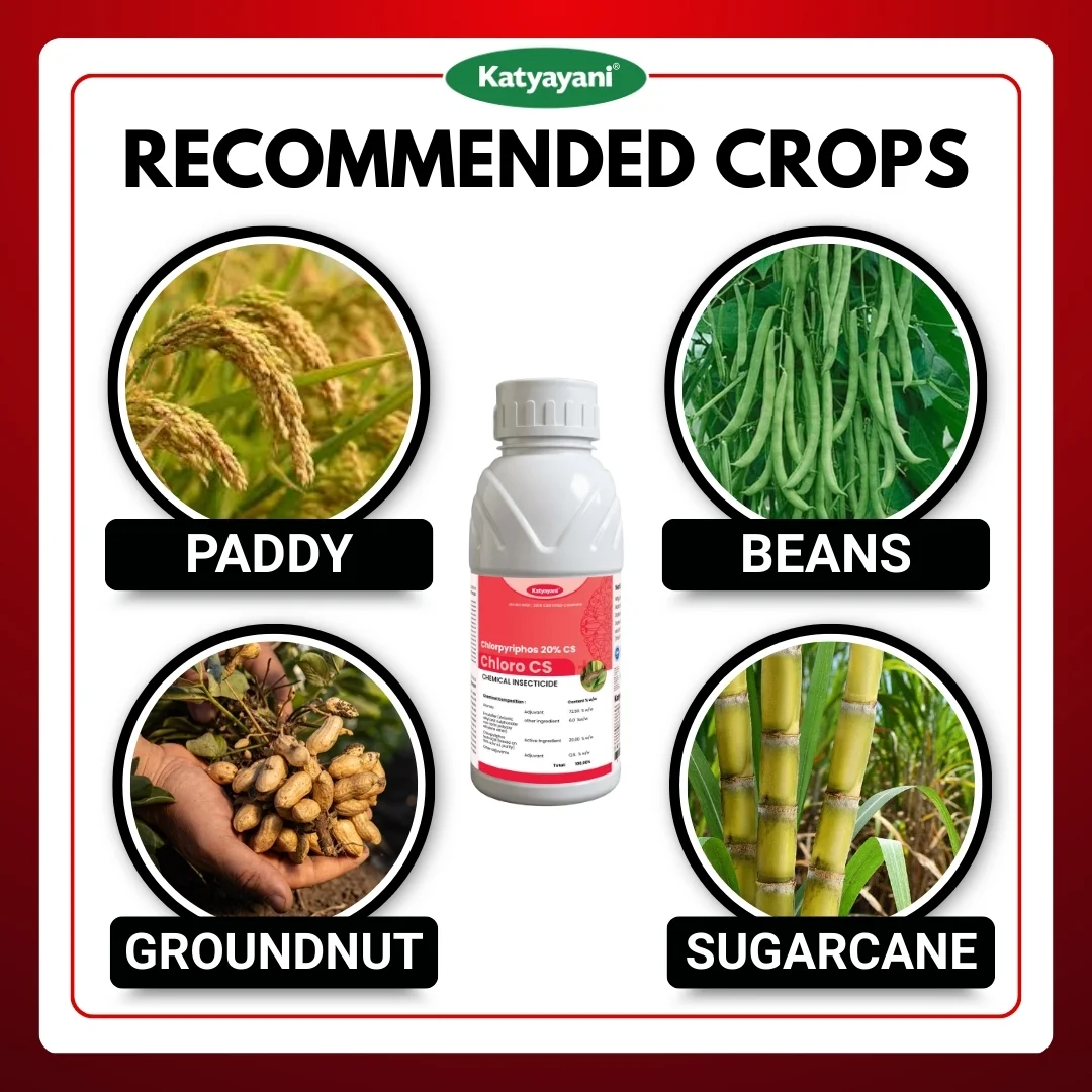 Katyayani Chloropyriphos 20 % CS - Chloro cs - Image 4