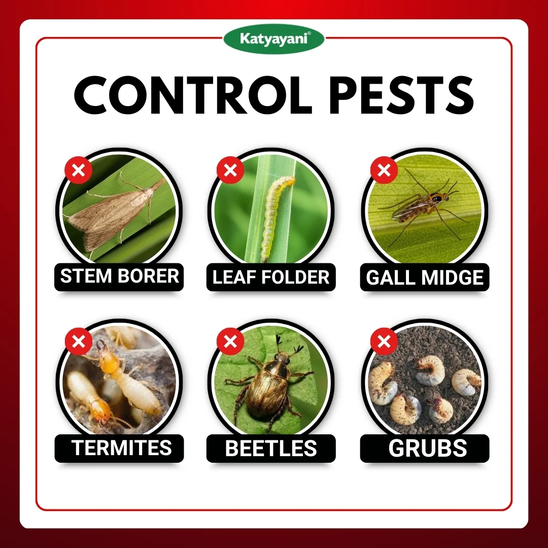 Katyayani Chloropyriphos 10 % gr - CHLORO GR - Image 3