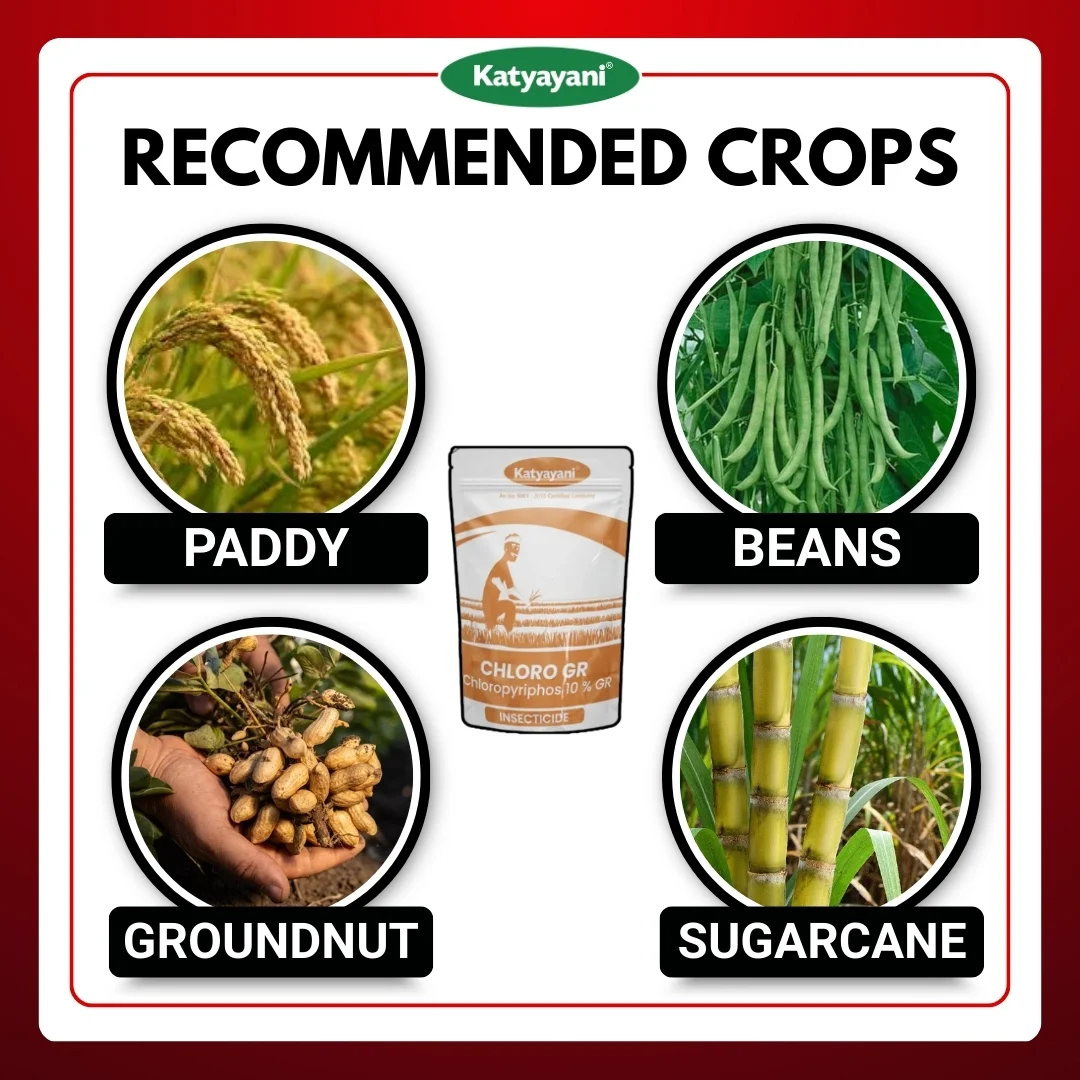 Katyayani Chloropyriphos 10 % gr - CHLORO GR - Image 4