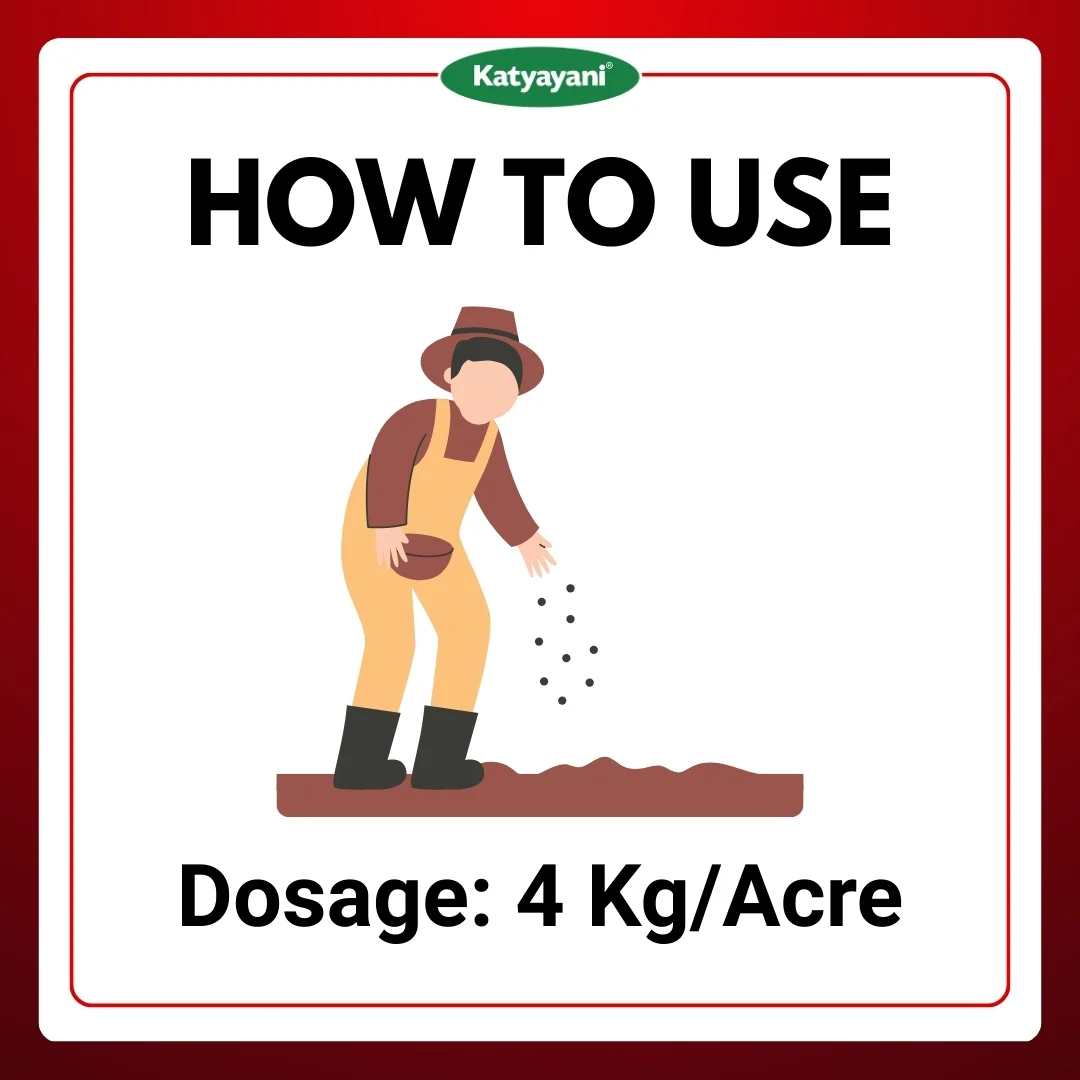 Katyayani Chloropyriphos 10 % gr - CHLORO GR - Image 5
