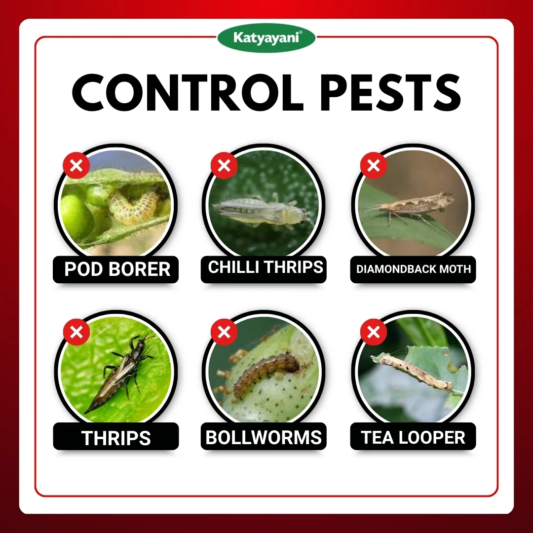 Katyayani Emamectin benzoate 5 % WG - EMA5 - Image 4