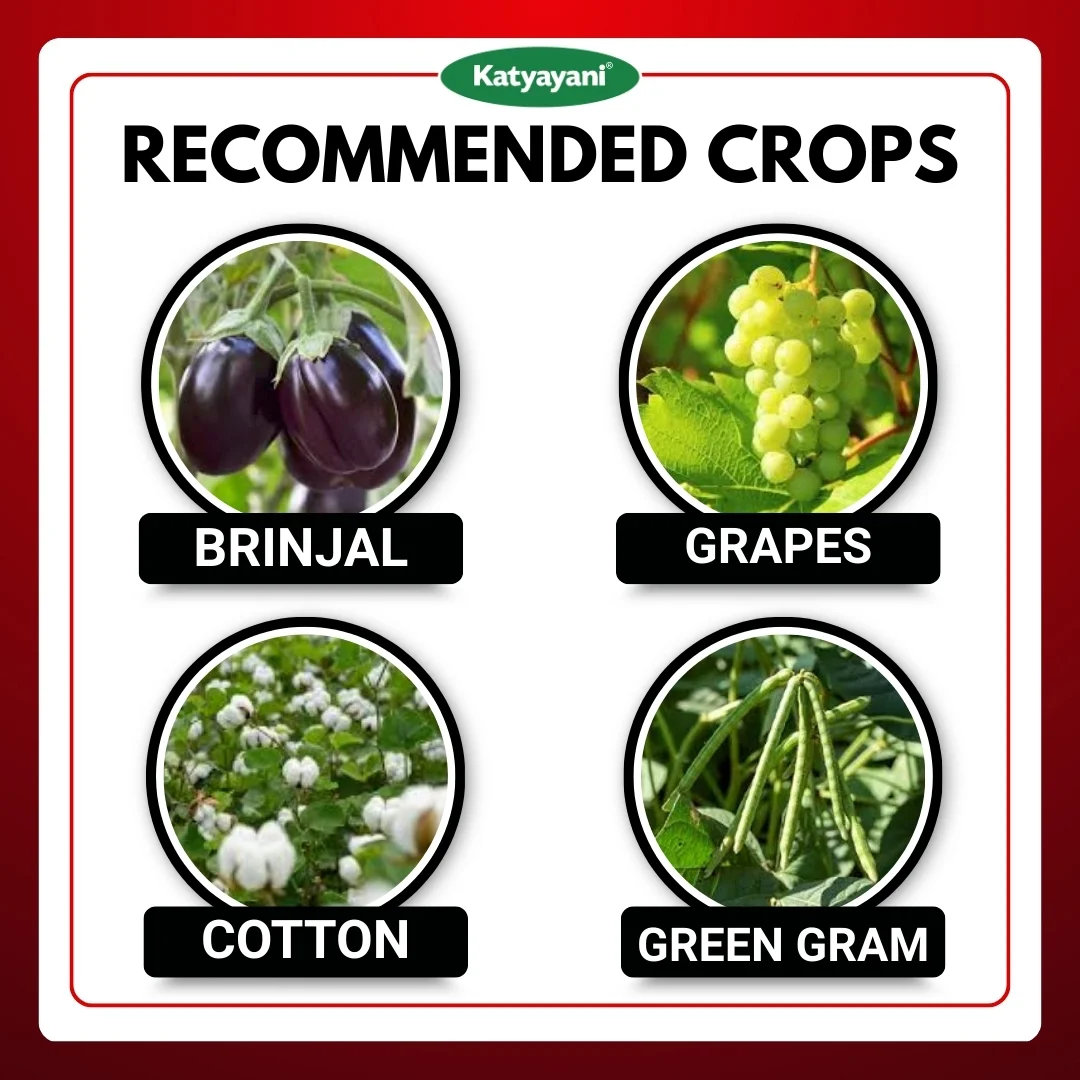 Katyayani Emamectin benzoate 5 % WG - EMA5 - Image 3