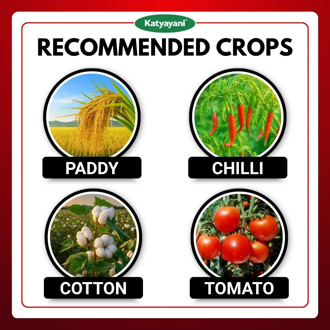 Katyayani Fluben | Flubendiamide 39.35 % sc | Insecticide - Image 4