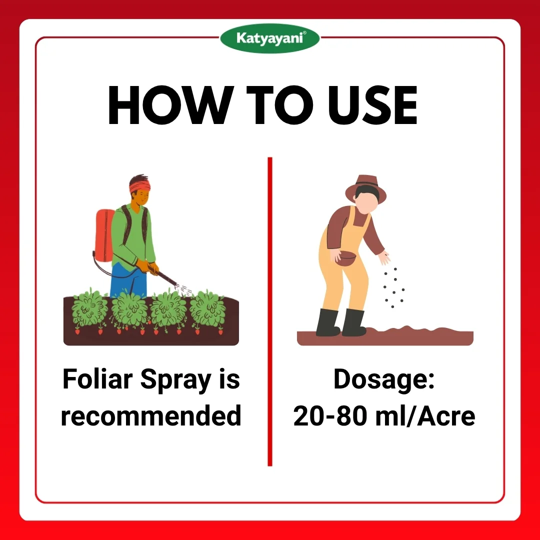 Katyayani Fluben | Flubendiamide 39.35 % sc | Insecticide - Image 5