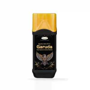 garuda