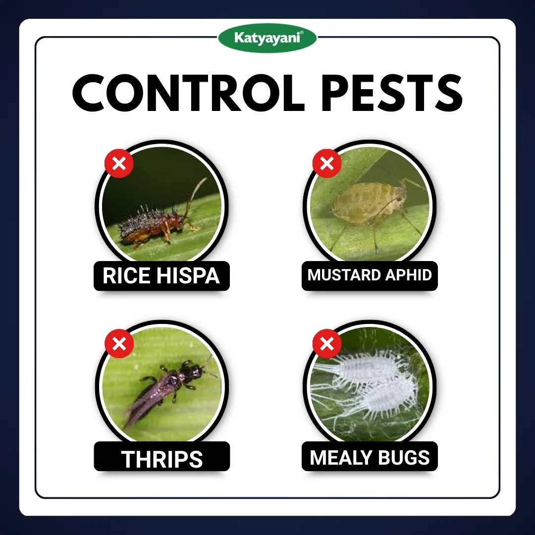 Katyayani Malathion 50 % EC - MAL50 - Image 3