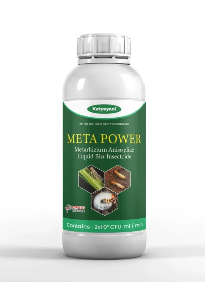Katyayani Meta Power | Metarhizium anisopliae Bio pesticide