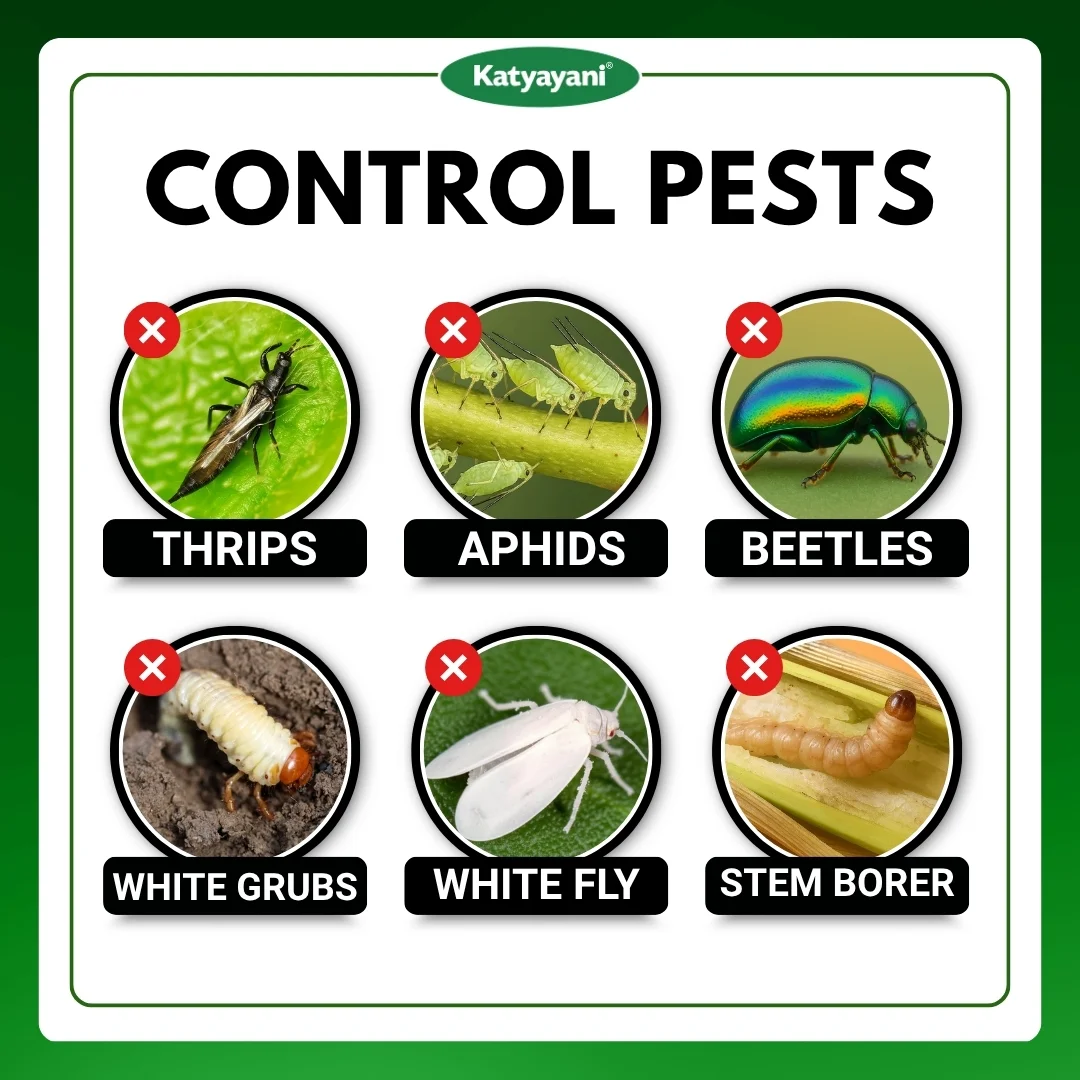 Katyayani Nashak | Fipronil 40% + Imidacloprid 40% WG | Pesticide - Image 3