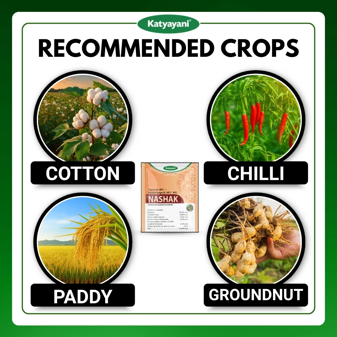 Katyayani Nashak | Fipronil 40% + Imidacloprid 40% WG | Pesticide - Image 3
