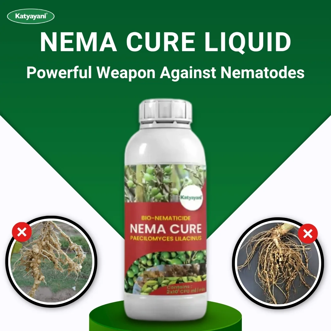 Katyayani Nema Cure | Paecilomyces Lilacinus Bio Insecticide - Image 2