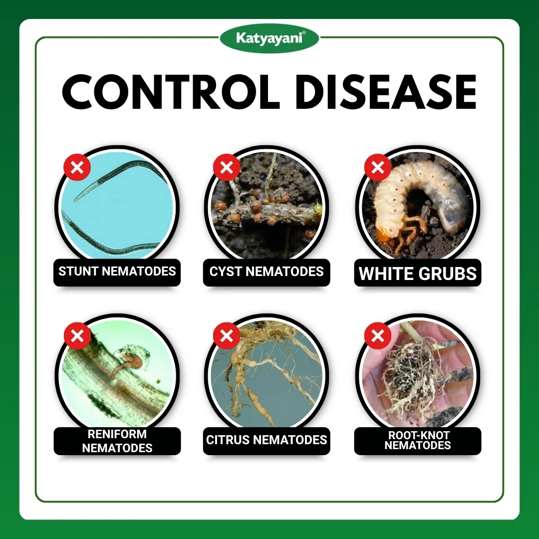 Katyayani Nema Cure | Paecilomyces Lilacinus Bio Insecticide - Image 3