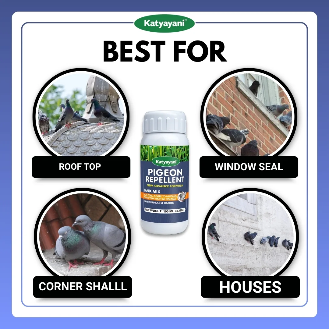 Katyayani Pigeon Repellent - Image 4