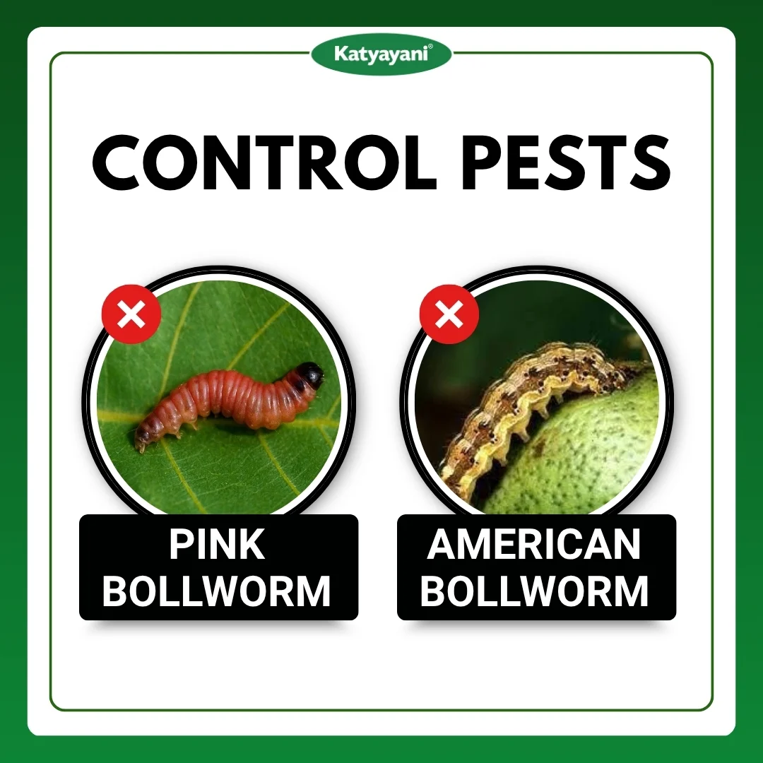 Katyayani Propcyp Profenofos 40 % + Cypermethrin 4 % ec - Image 3