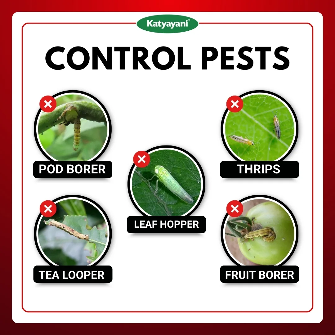 Katyayani Emamectin benzoate 3 % thiamethoxam 12 % wg - Emathio - Image 3