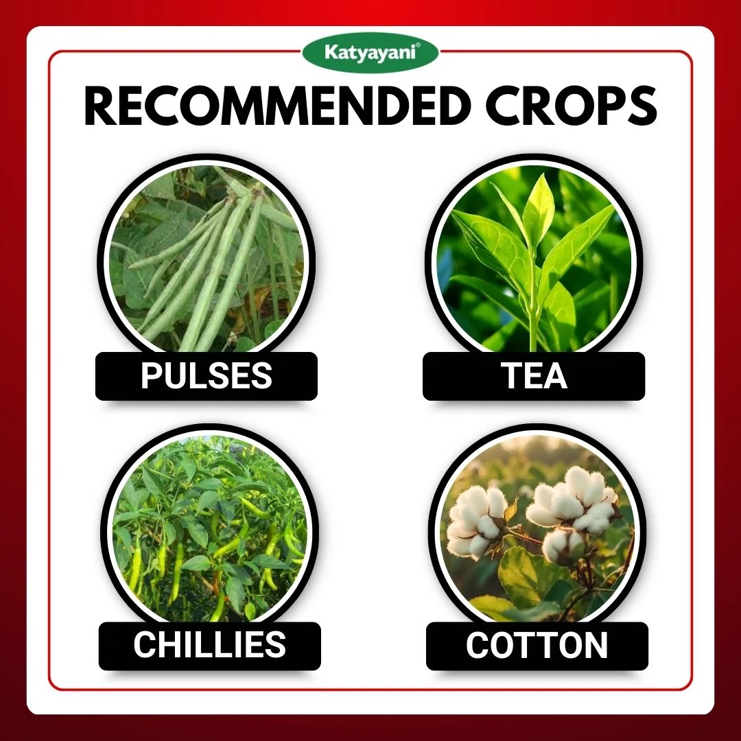 Katyayani Emamectin benzoate 3 % thiamethoxam 12 % wg - Emathio - Image 4