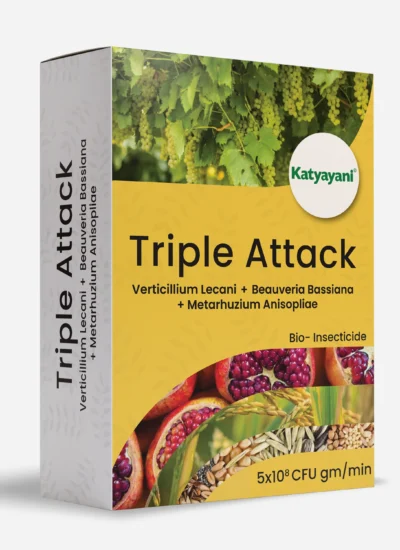 Katyayani Triple Attack (VBM - Verticillium Lecanii + Beauveria Bassiana + Metarhizium Anisopliae Bio pesticide)
