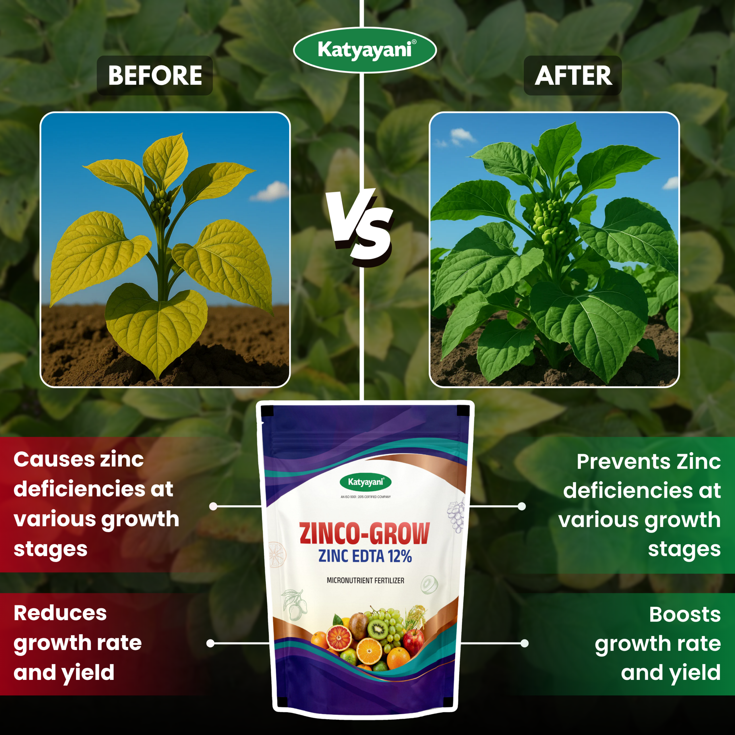 Katyayani Zinco Grow (Zinc EDTA 12%) Fertilizer - Image 3