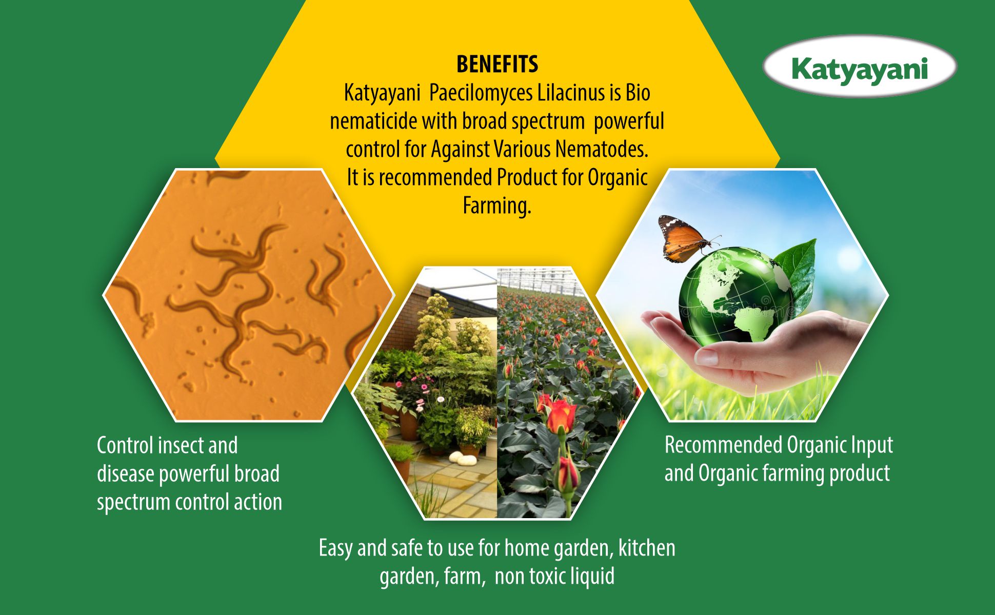 Paecilomyces Lilacinus Bio Insecticide - Katyayani Organics