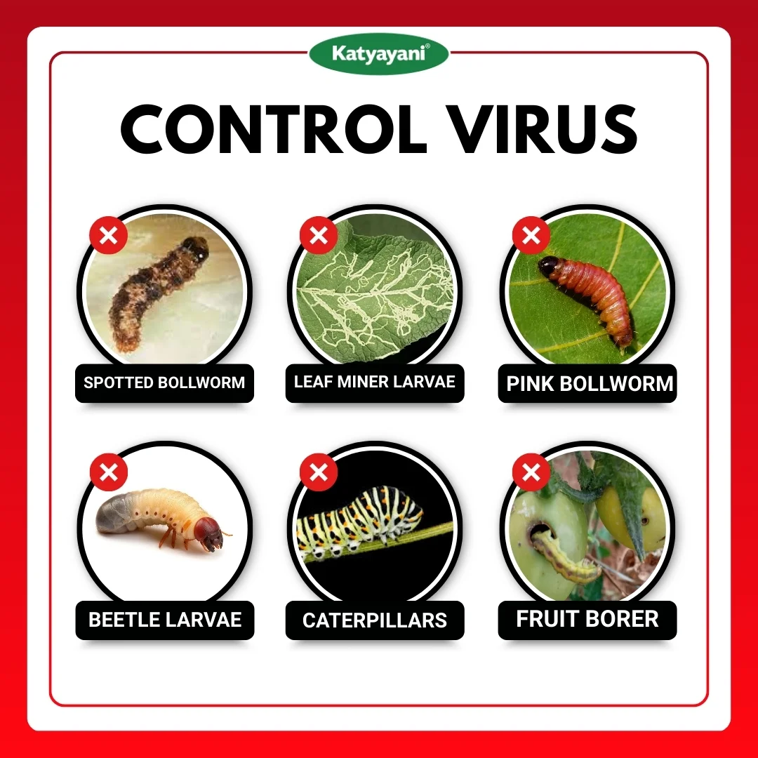 Katyayani Finish It (All in one Larvicide) - Image 3