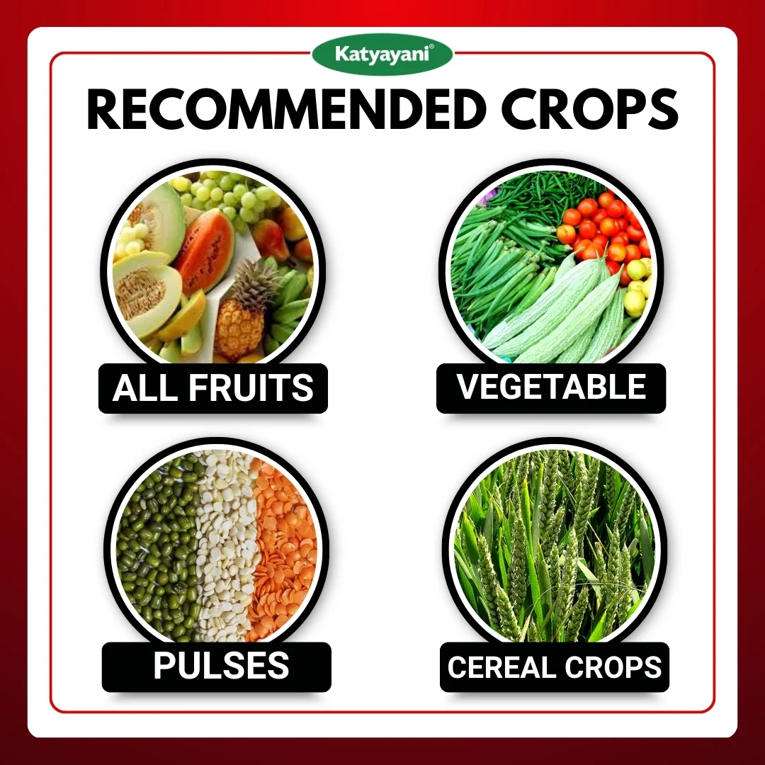 Katyayani Finish It (All in one Larvicide) - Image 4