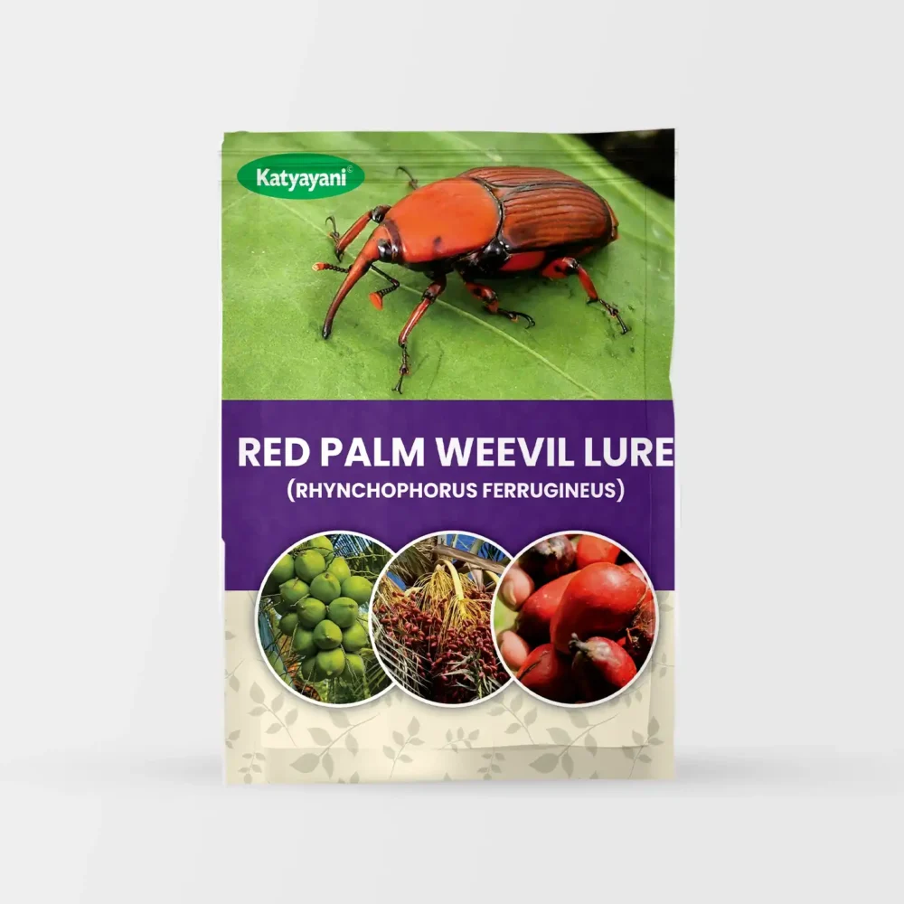 Red Palm Weevil Lure (RHYNCHOPHORUS FERRUGINEUS)