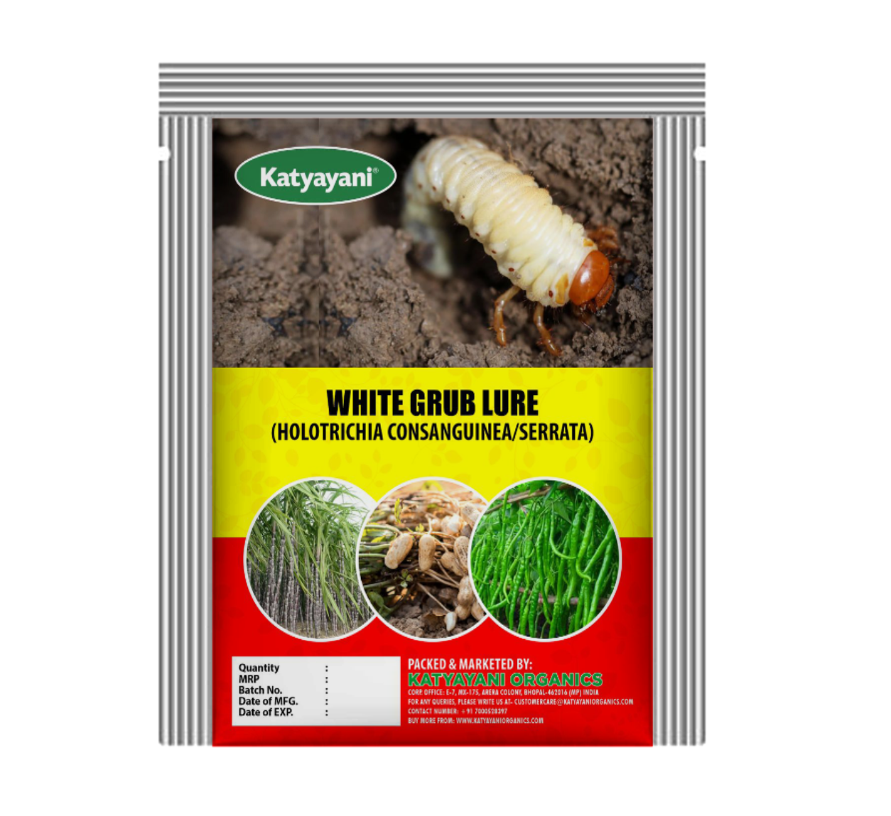 White Grub Lure (HOLOTRICHIA CONSANGUINEA/SERRATA) – Katyayani Organics