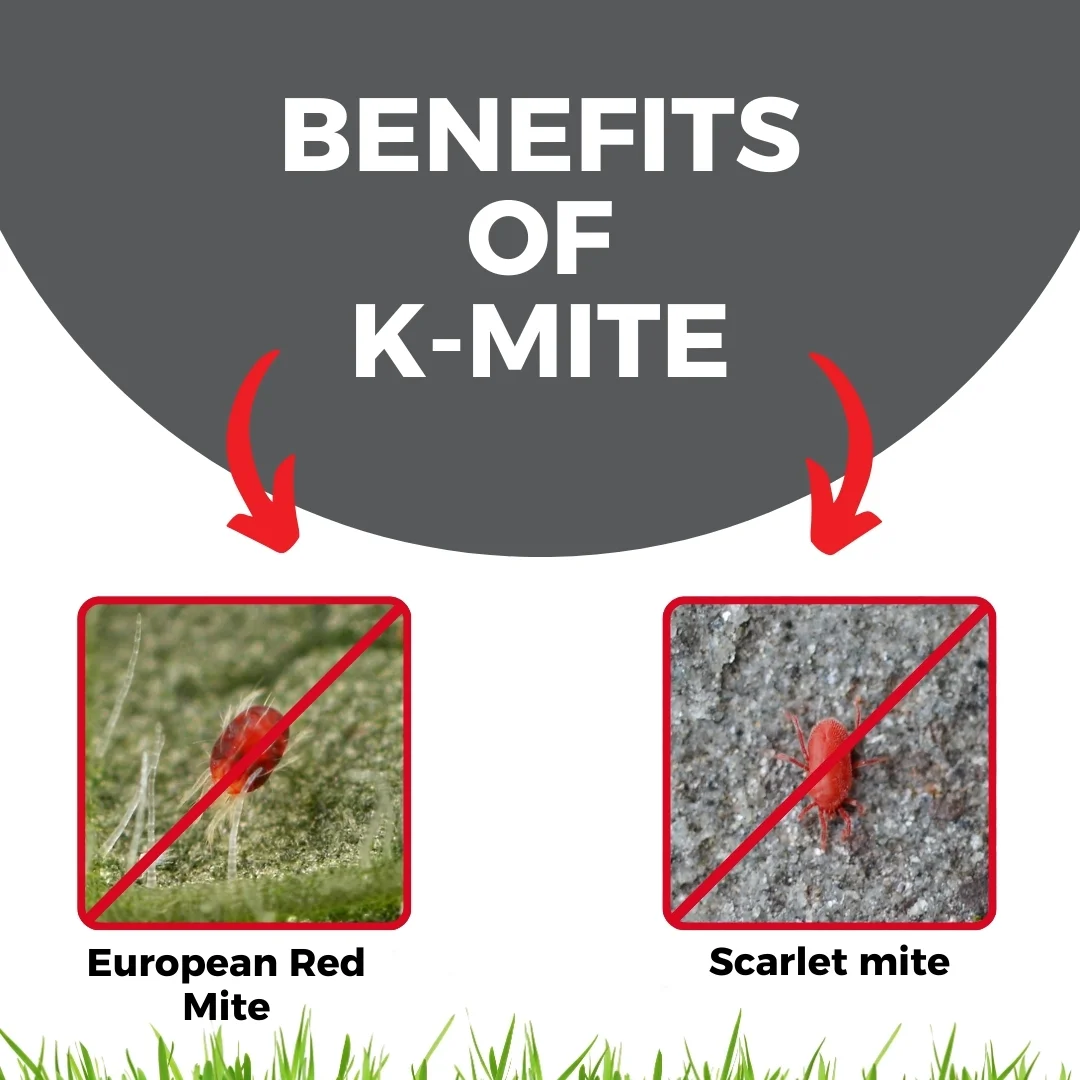 Katyayani K-MITE Hexythiazox 5.45% EC - Image 3