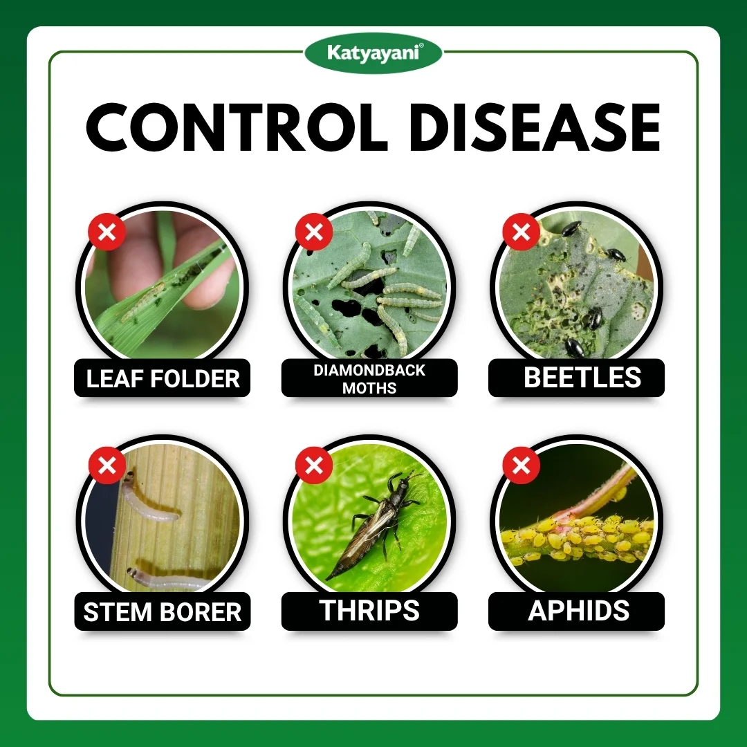 Katyayani Joker Fipronil 80% WDG - Image 3