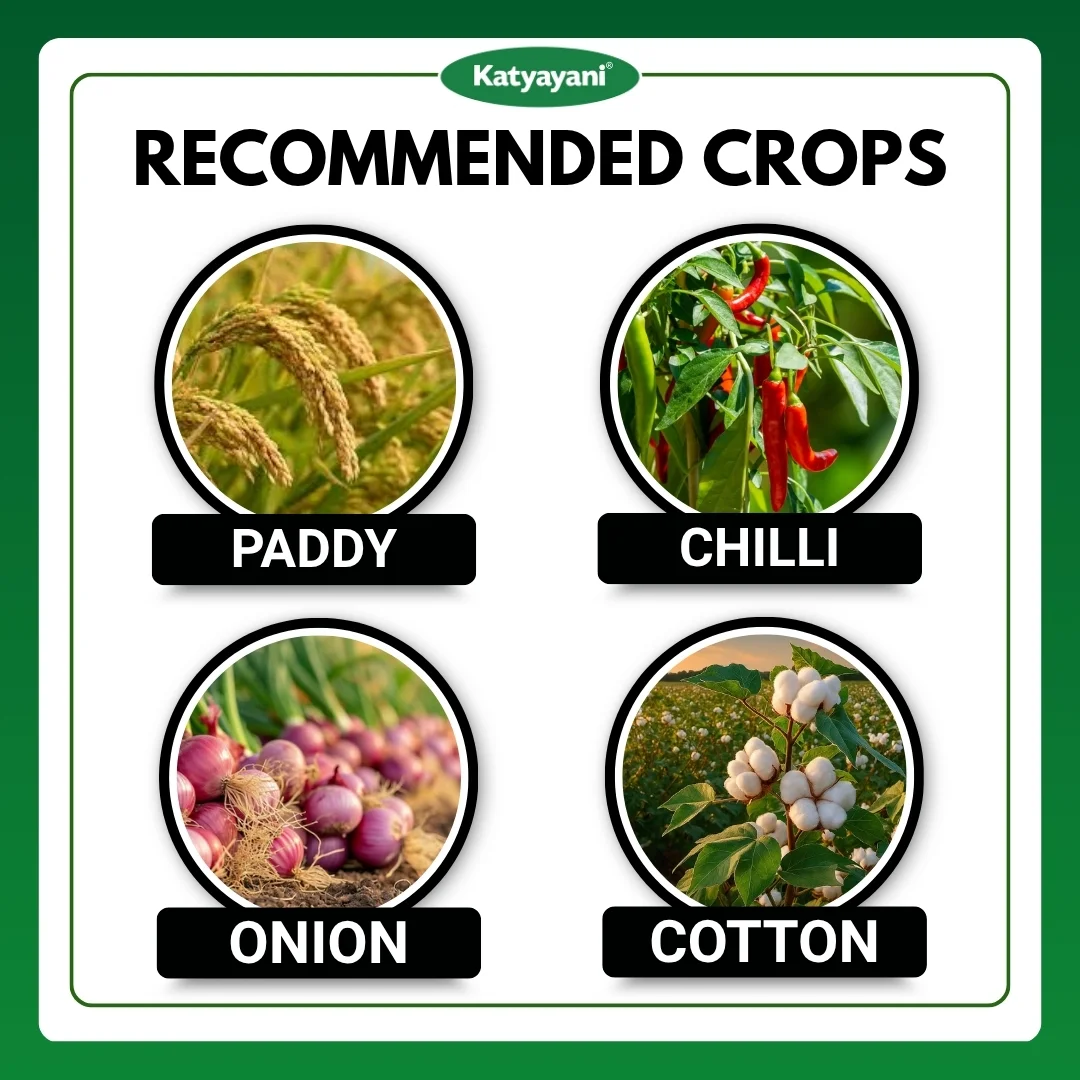 Katyayani Joker Fipronil 80% WDG - Image 4