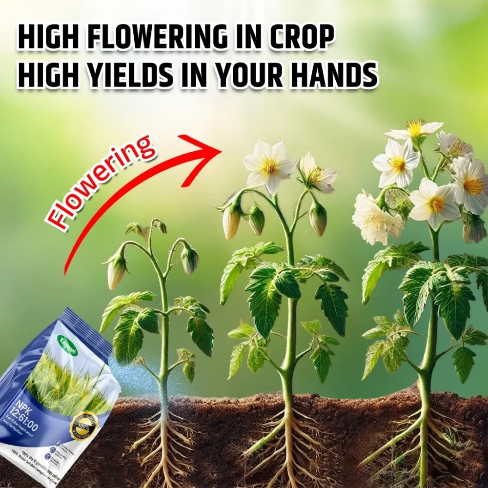 Katyayani Npk 12 61 00 Fertilizer