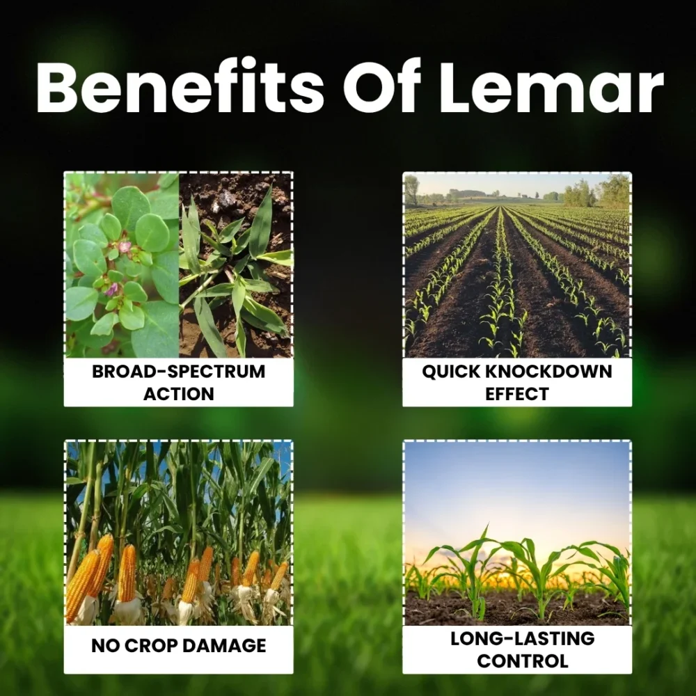 lemar