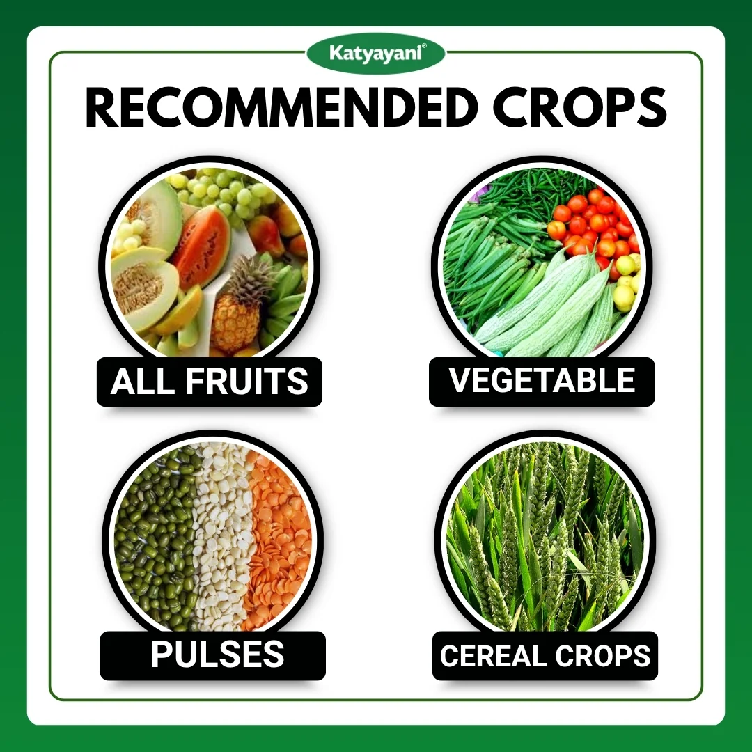 Katyayani Metarhizium Anisopliae | Powder Bio Insecticide - Image 4